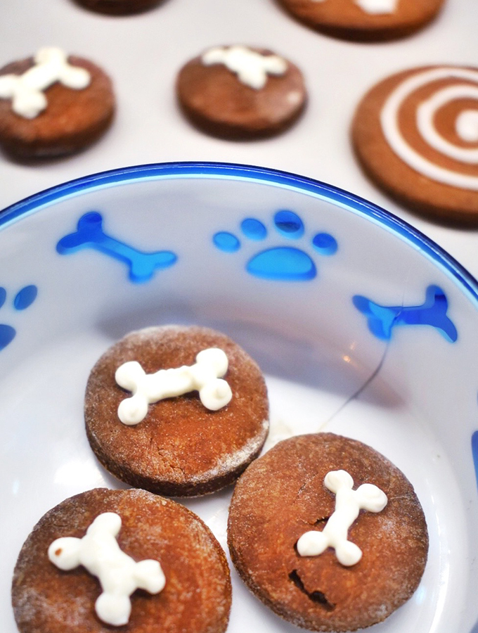 biscotti pan di stelle per cani